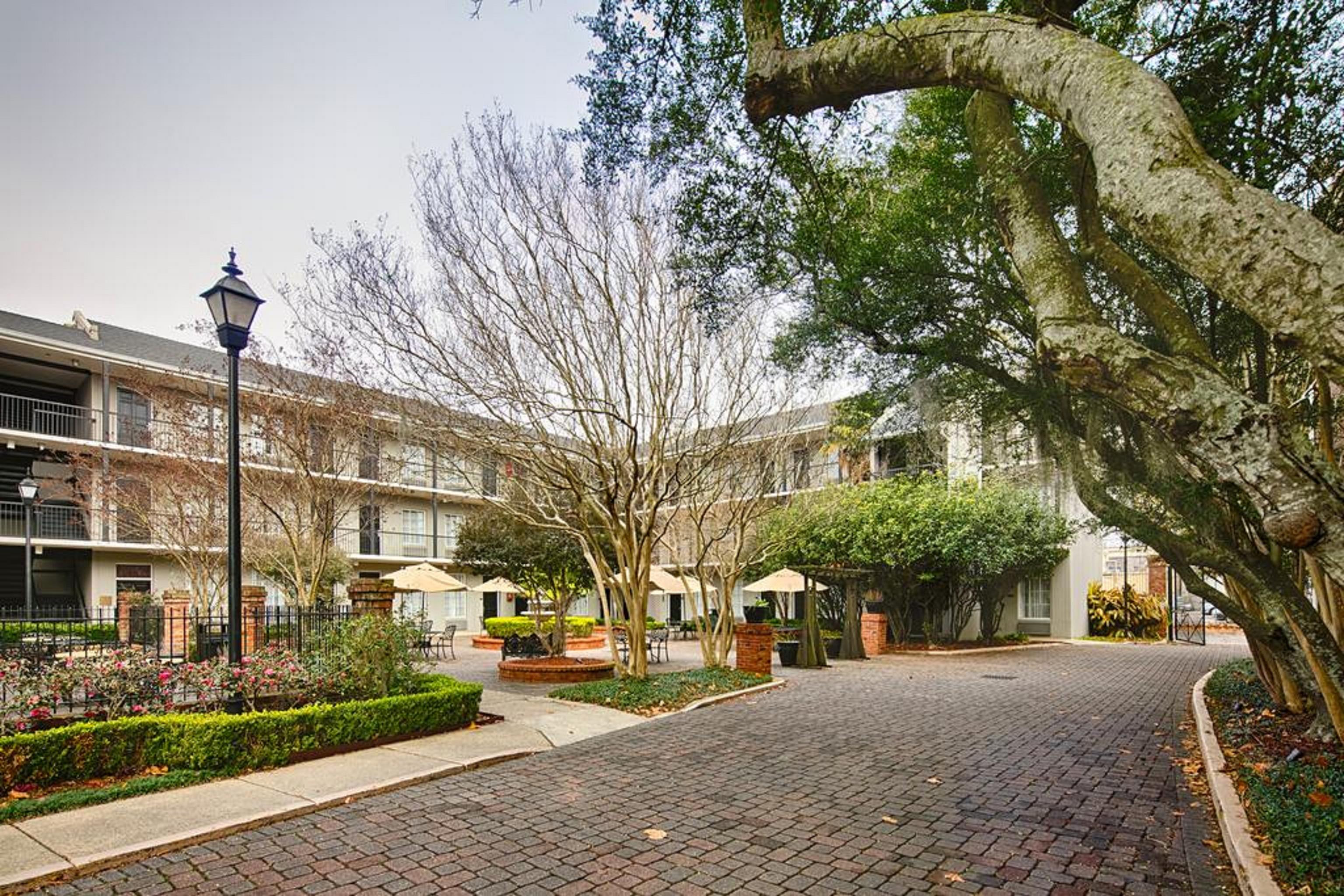 Maison St. Charles New Orleans Eksteriør billede